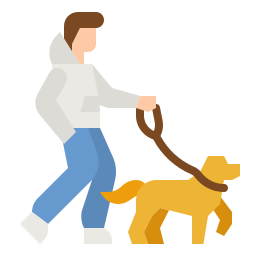 Promener vos animaux